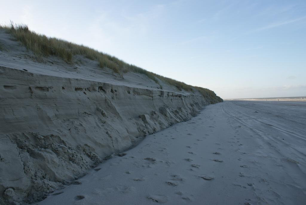 De Herbergh van Flielant Vlieland Exterior foto